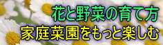�Ԃ̐����